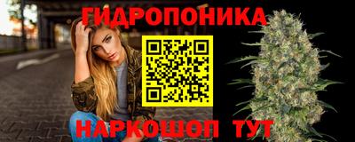 метадон Бердск