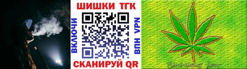 Каннабис сатива  Аргун 