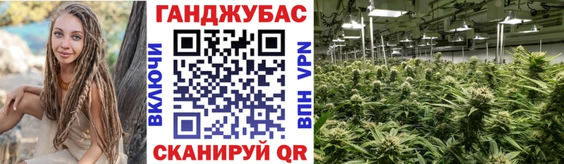 Конопля планчик Аргун